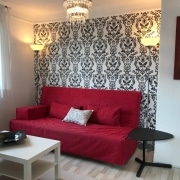 Little Elisabeth business apartment Salzburg - Living room