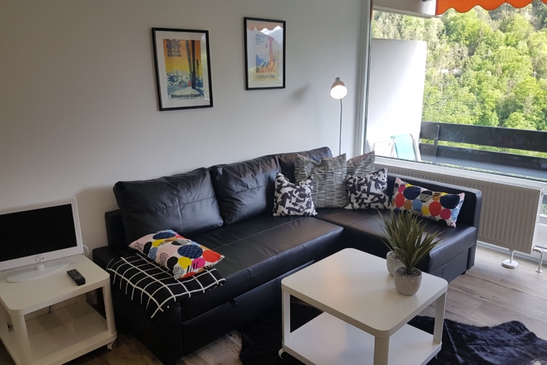 Bad Reichenhall - Apartment house "Am Schroffen" - Jutta Deluxe Apartment 212 - Sofabed